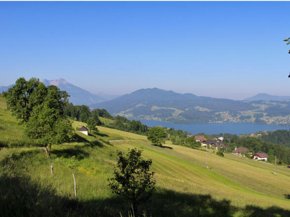 Fewo Maria Zopf Steinbach am Attersee