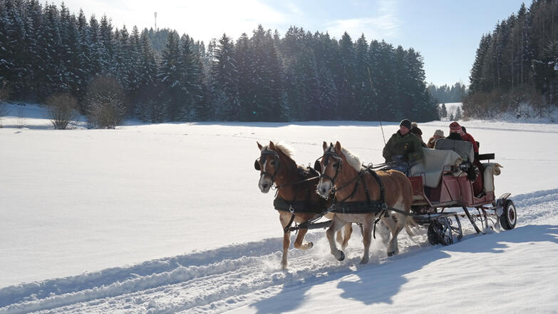 Schneeflocke(c) Georgs Kutscher Hof_1