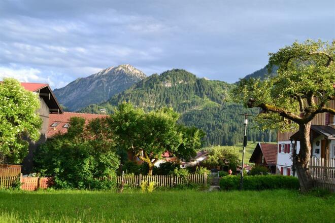 DSC_0139 Ausblick aus dem Wohnzimmer FeWo im 1. St