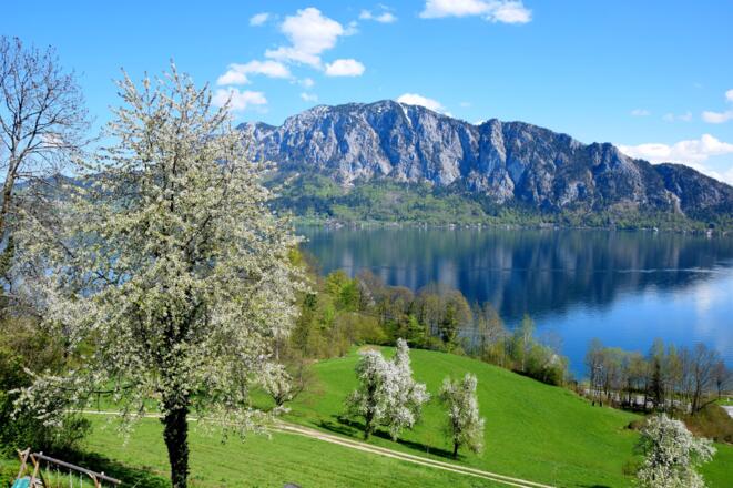 Ferienwohnung Loidl Ausblick in Unterach am Attersee