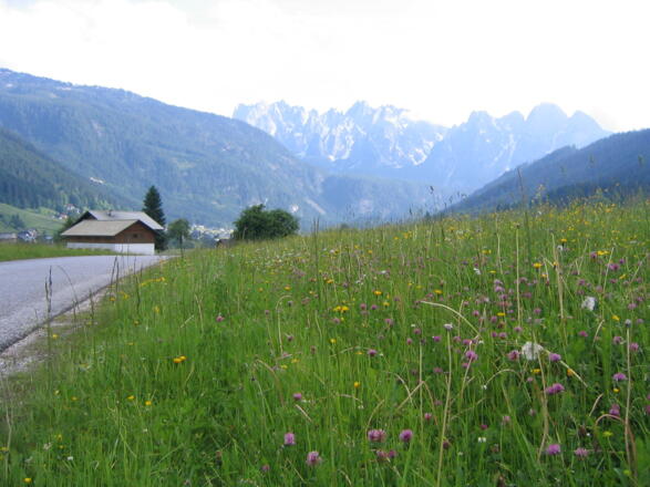 Gosaukammblick