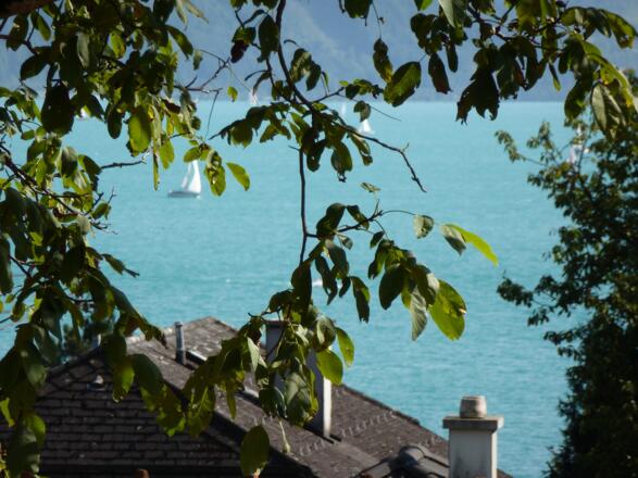 Ausblick