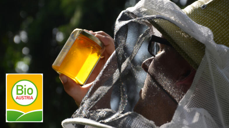Bienenhof Attersee, Attersee am Attersee