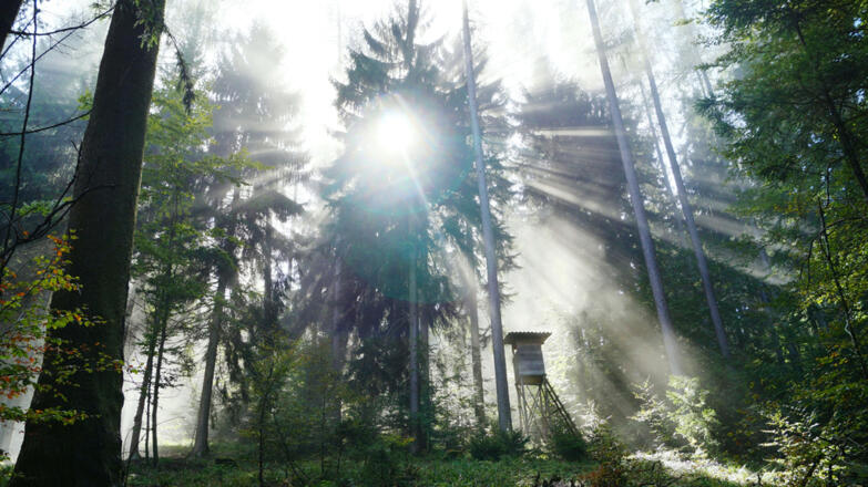 Alpenberg, Naturpark Attersee-Traunsee