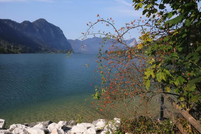 19.09.2020-Gasthof See - Michael Meindl