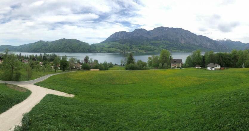 Panorama, Seeblick Steinbichler