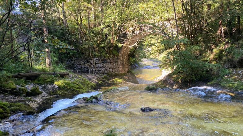 Gimbach Kaskaden Weissenbach