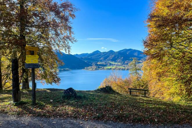 ttt_1123_mn_waldlehrpfad-laerchenwald_tegernsee_0008