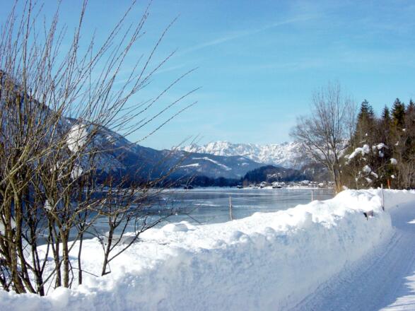 Hallstättersee