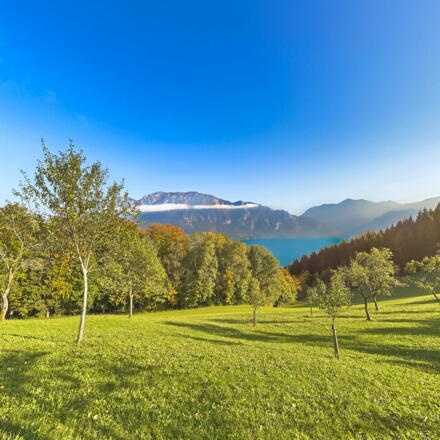 Blick zum Attersee