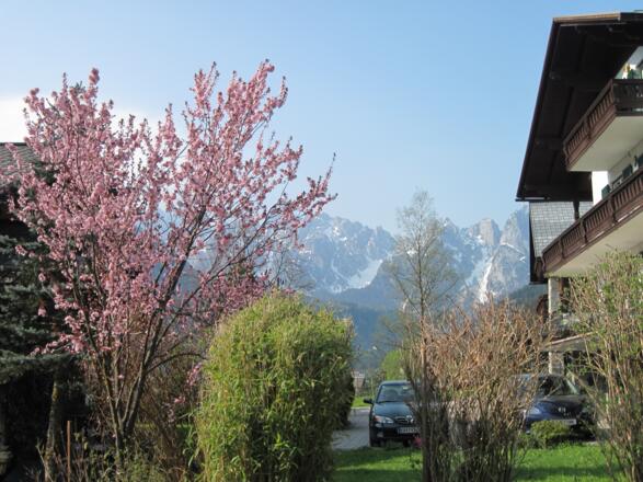 Krippenstein