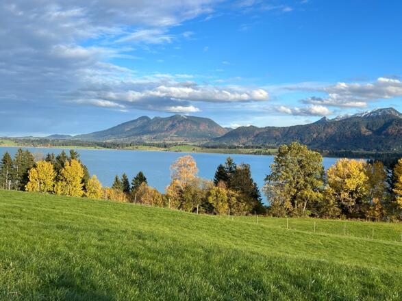 Radrundweg Forggensee