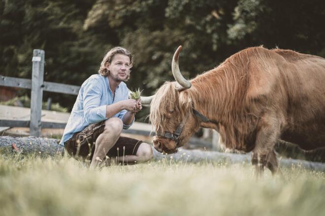 Richy in der Natur mit Rind