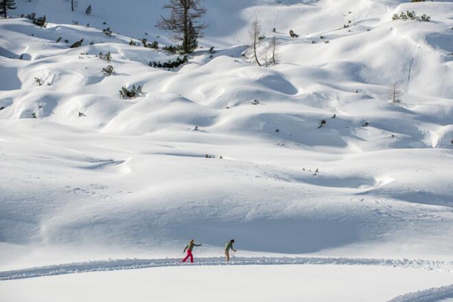 Höhenloipe Dachstein Krippenstein - Gjaid Alm