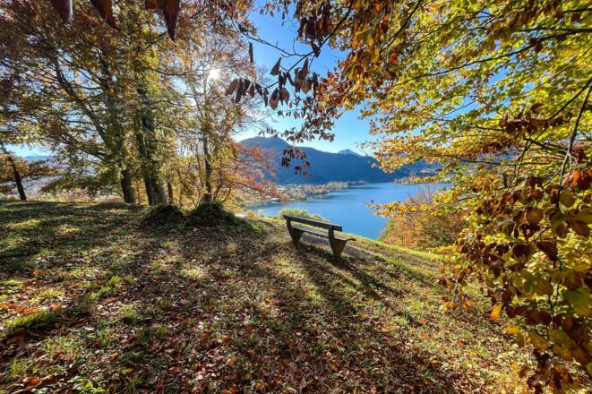 ttt_1123_mn_waldlehrpfad-laerchenwald_tegernsee_0005