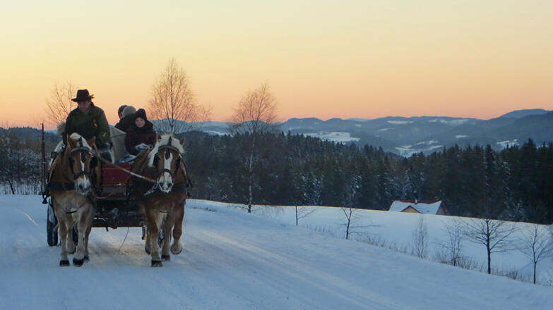 Schneeflocke bei Flutlicht (c) Georgs Kutscher Hof_5