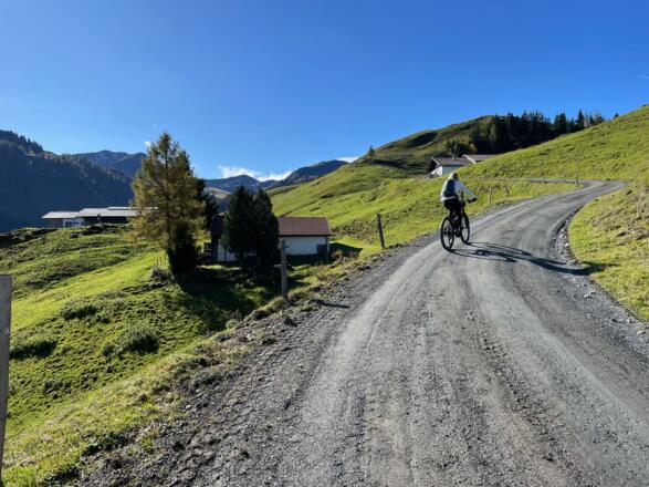 Zahlreiche Almen säumen den Weg hinauf zum Kitzbüheler Horn.