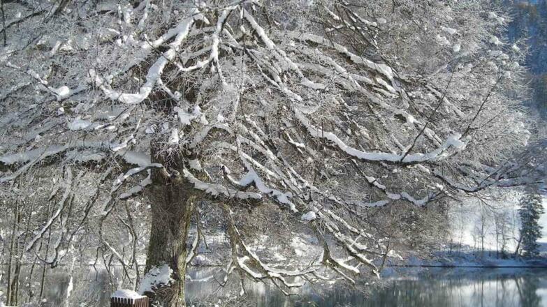 Der `Hintersee` im Winter