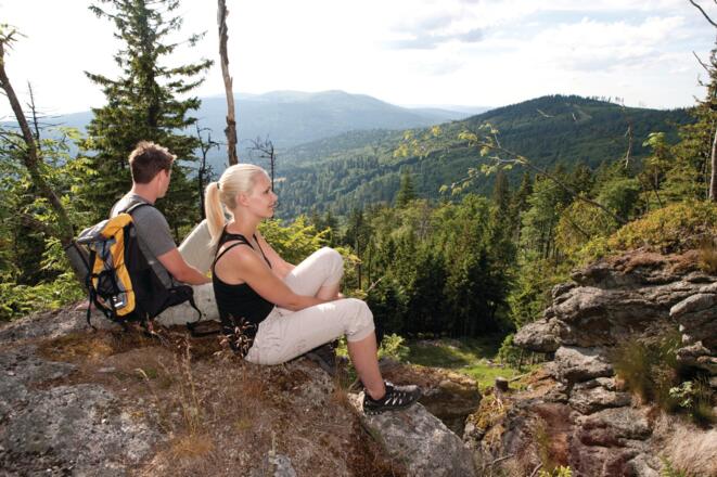 Stinglfelsen Hochficht