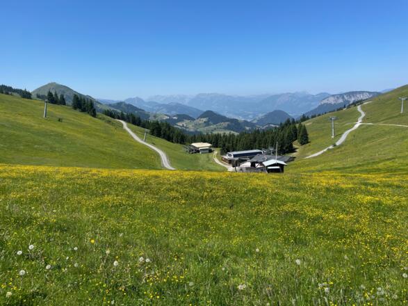 Leider wird die Landschaft immer wieder durch Seilbahnen beeinträchtigt.