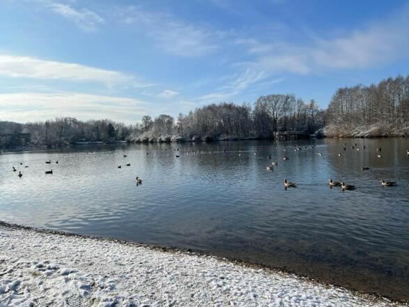 Vögel beobachten am Amperstausee im Winter