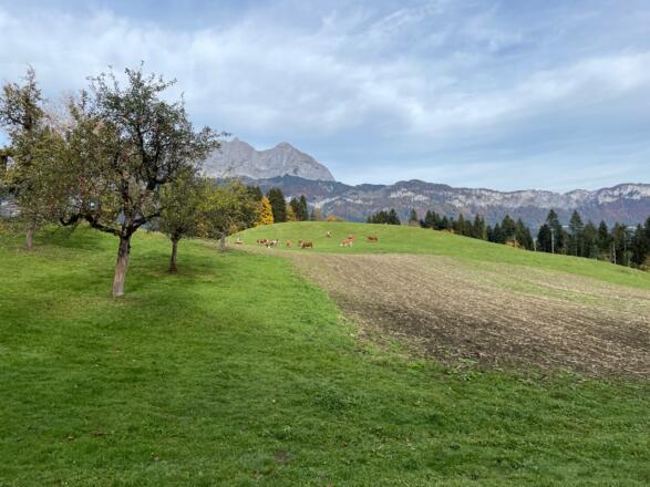 Von Reith b. Kitzbühel geht es über den Rettenberg nach Oberndorf.