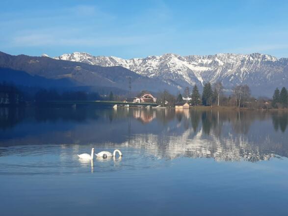 Hallstättersee im Winter