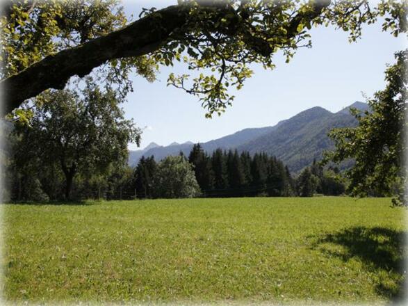 Bergpanorama - Fewo Burgi Ebner