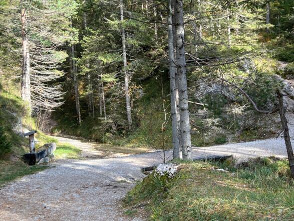 Wanderweg Lautersee - Latscheneck