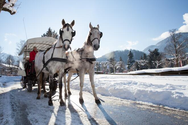 Pferdekutsche im Winter