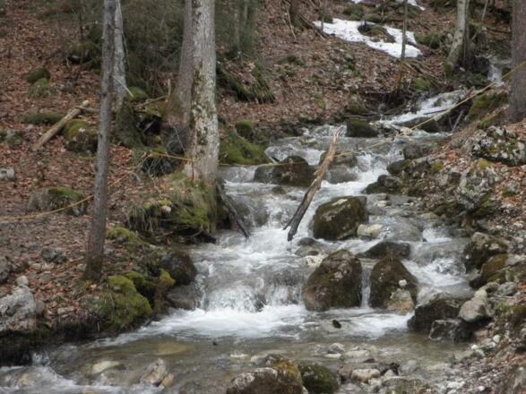 Der Wasserfall- klein aber fein
