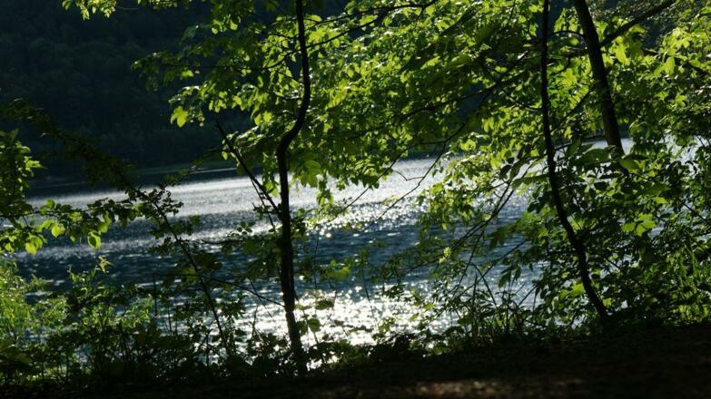 Faistenau am Hintersee