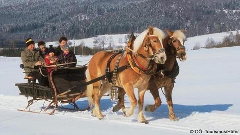 Pferdekutschenfahrt in Gosau