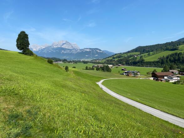 Mit Blick auf den Wilden Kaiser, bringt uns die Asphaltstraße zügig in die Höhe.