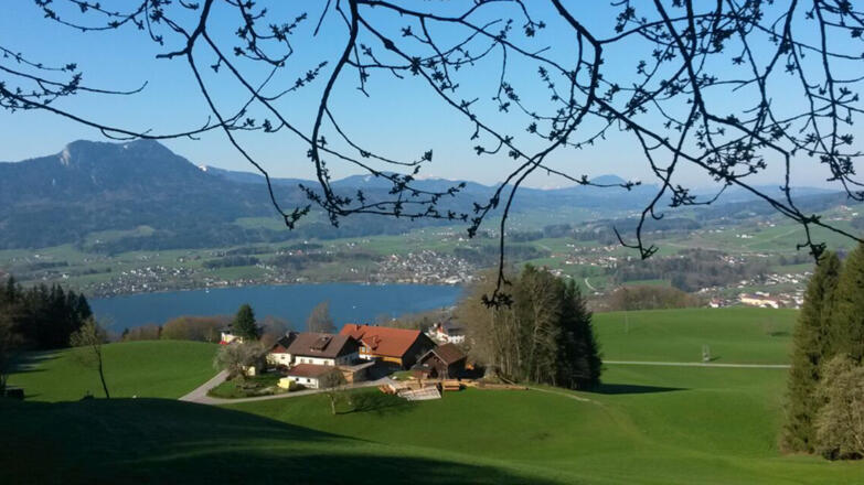 Gesundheitshof Daxinger