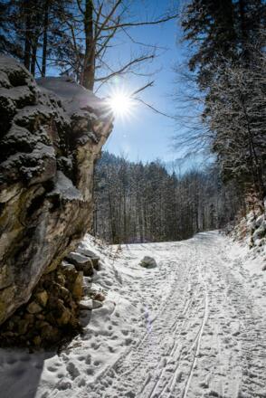 Weg zur Kappeler Alm im Winter