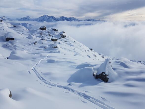 Ende des Blockfeldes bei 2560 m