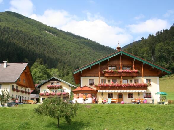 Schmiedbauernhof - Faistenau