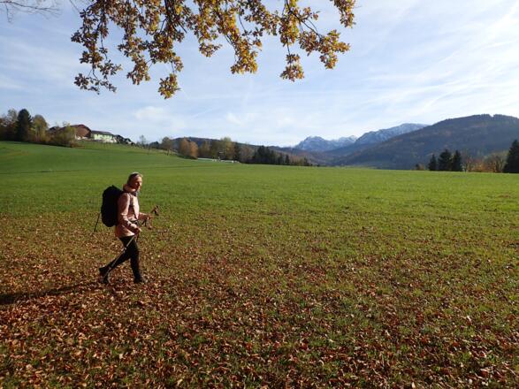 Unterhalb von Miglberg, im Hintergrund Teile vom Höllengebirge
