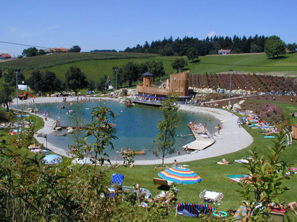 Badesee Tragwein