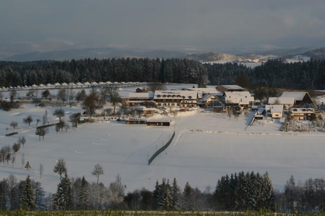 2012-03-31-forelle-in-kartoffelkruste-040