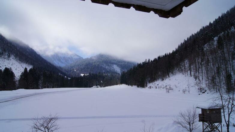 Ausblick