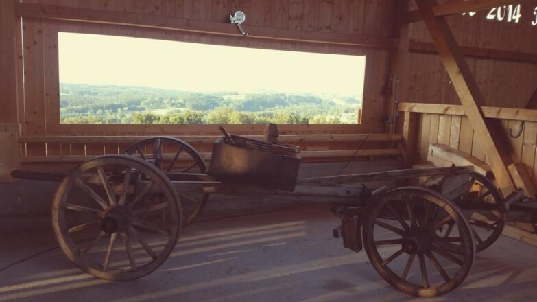 In unserem Spielstadl
