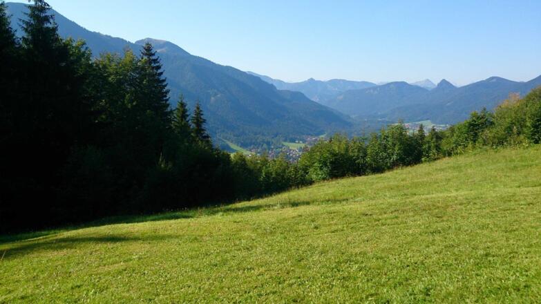 Die Natur genießen