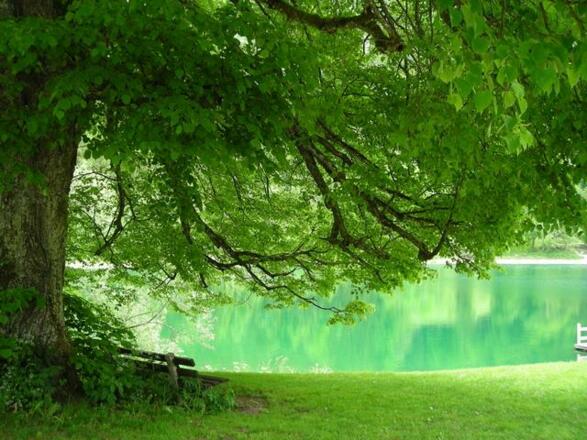 Idylle am `Hintersee`