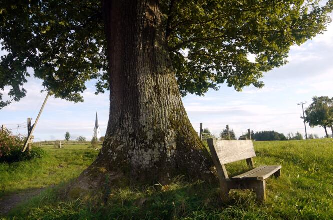 BeimDanner_ruhebankerl