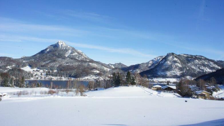 ferienwohnungen_haus_wesenau_fuschl_am_see_27mj5