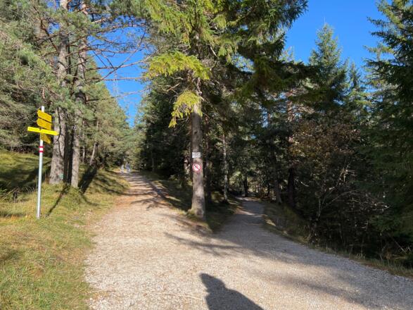 Wanderweg links Lautersee - Latscheneck