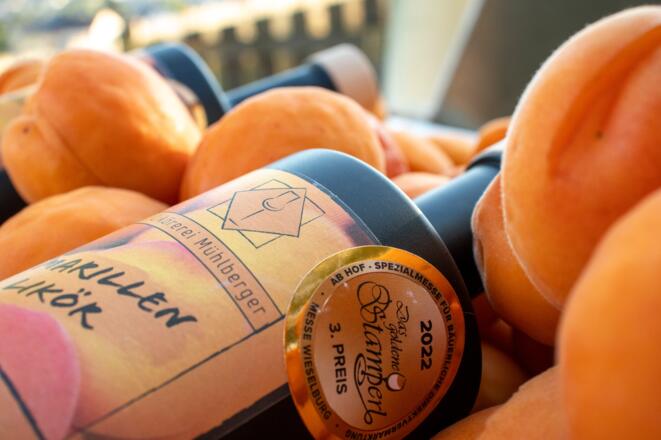 Marillenlikör von der Likörerei Mühlberger