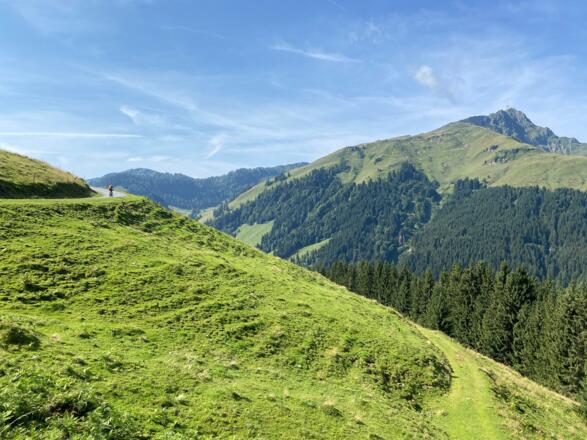 Herrliche Auffahrt mit tollen Blicken auf das Kitzbüheler Horn.